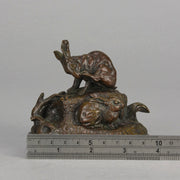 Victor Chemin Bronze - Pair of Rabbits - Hickmet Fine Arts 