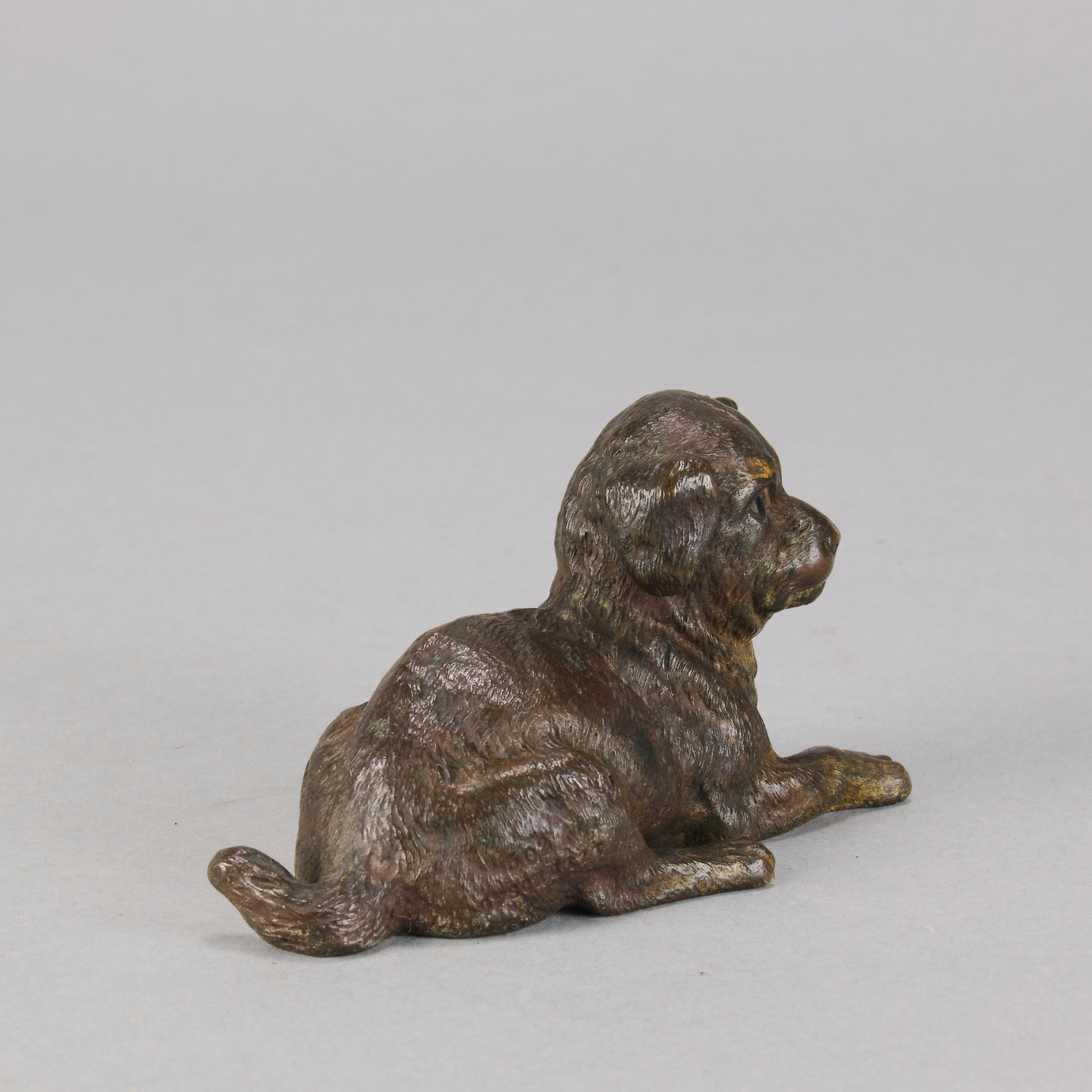 Vienna Bronze Puppy - Austrian Bronze - Hickmet Fine Arts 