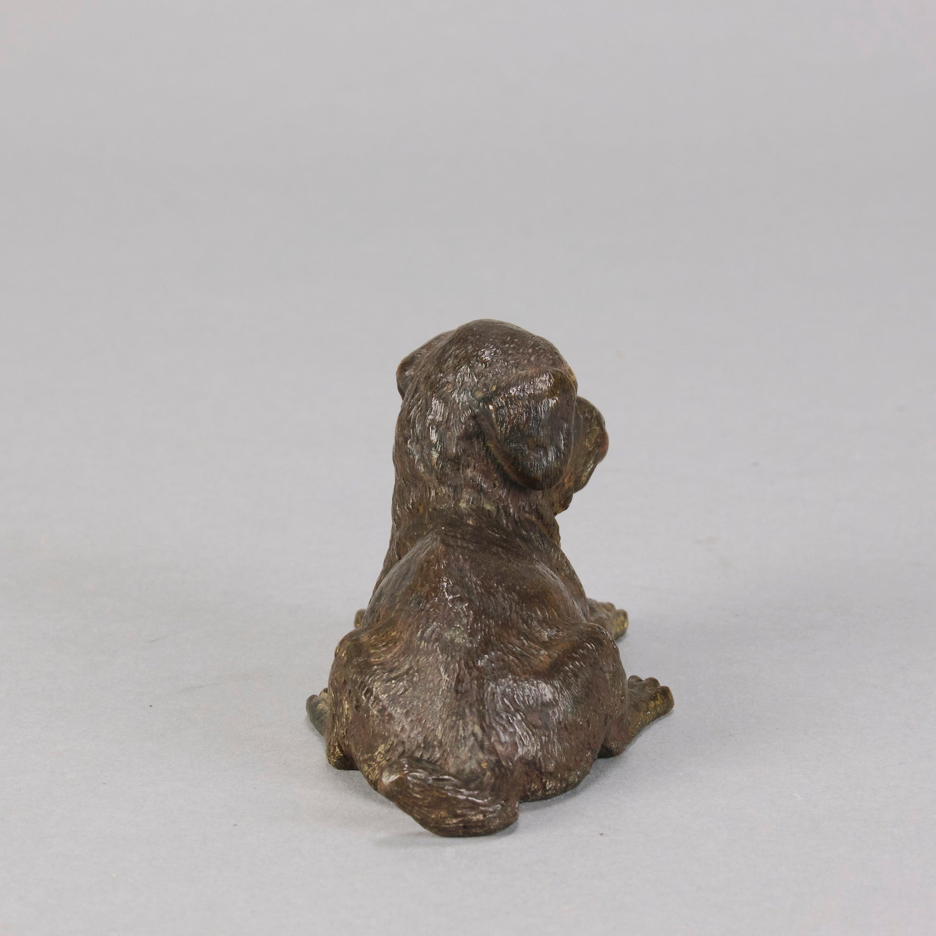 Vienna Bronze Puppy - Austrian Bronze - Hickmet Fine Arts 