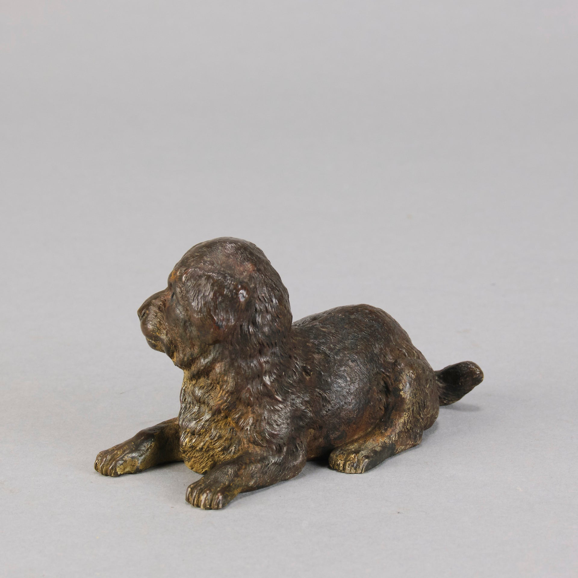 Vienna Bronze Puppy - Austrian Bronze - Hickmet Fine Arts 