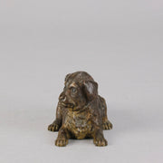 Vienna Bronze Puppy - Austrian Bronze - Hickmet Fine Arts 