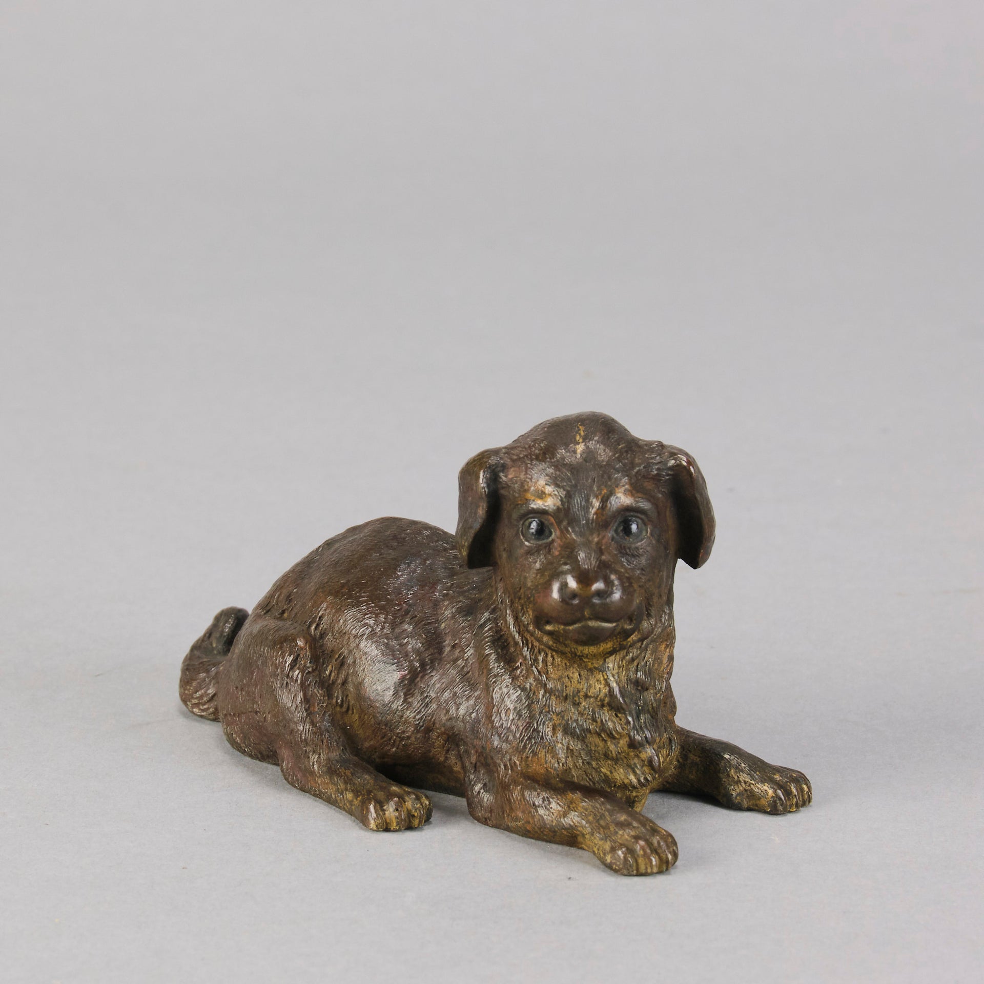 Vienna Bronze Puppy - Austrian Bronze - Hickmet Fine Arts 