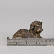 Vienna Bronze Puppy - Austrian Bronze - Hickmet Fine Arts 