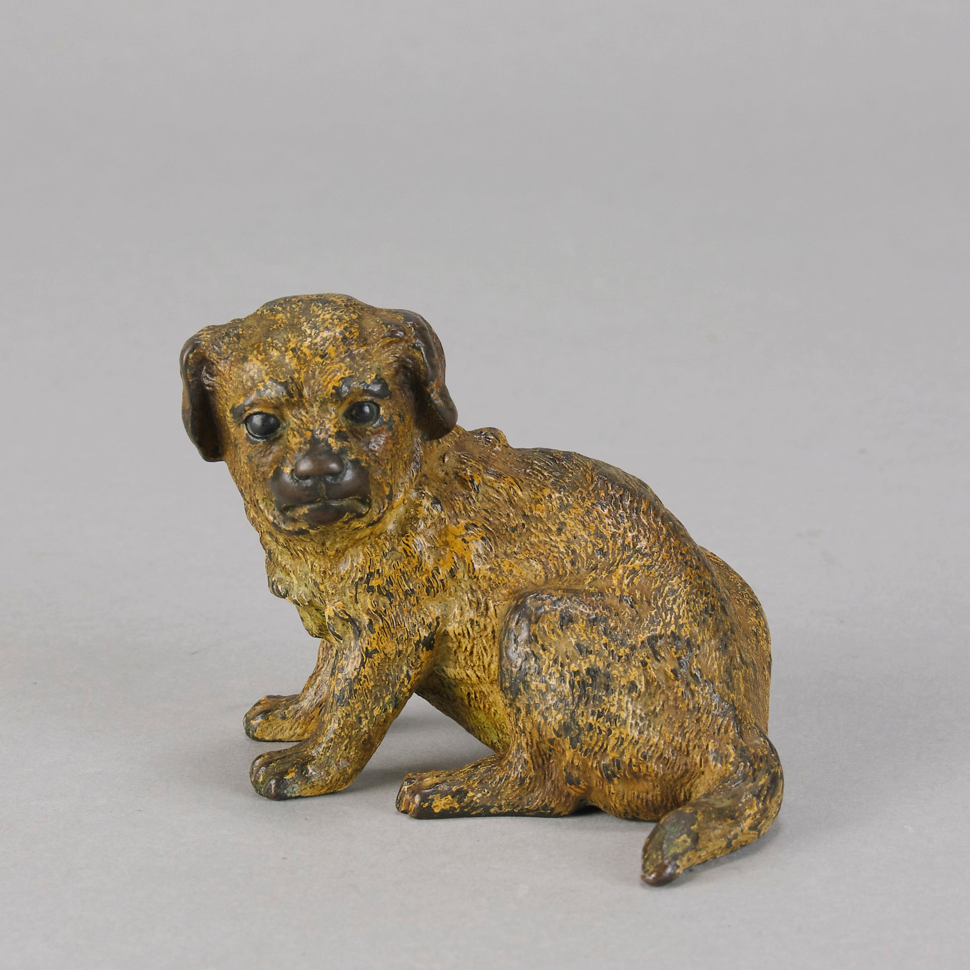 Vienna Bronze Puppy - Seated Puppy Bronze - Hickmet Fine Arts 