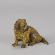 Vienna Bronze Puppy - Seated Puppy Bronze - Hickmet Fine Arts 