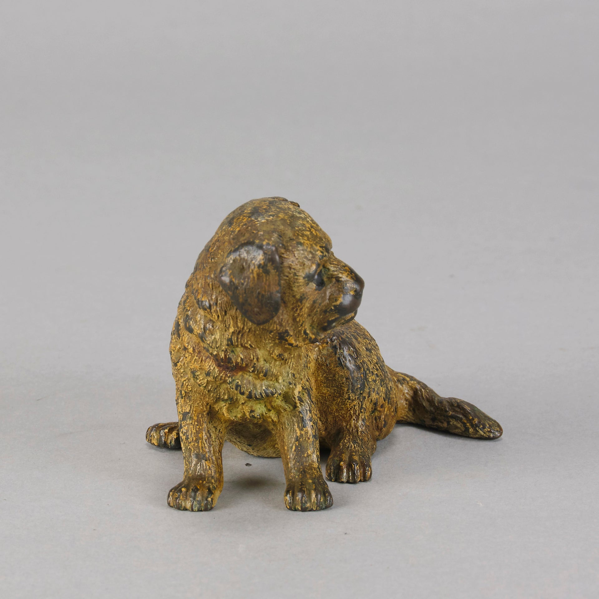 Vienna Bronze Puppy - Seated Puppy Bronze - Hickmet Fine Arts 