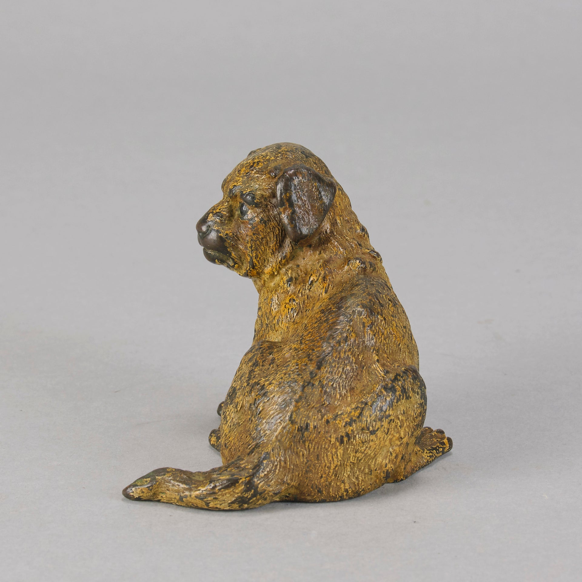 Vienna Bronze Puppy - Seated Puppy Bronze - Hickmet Fine Arts 