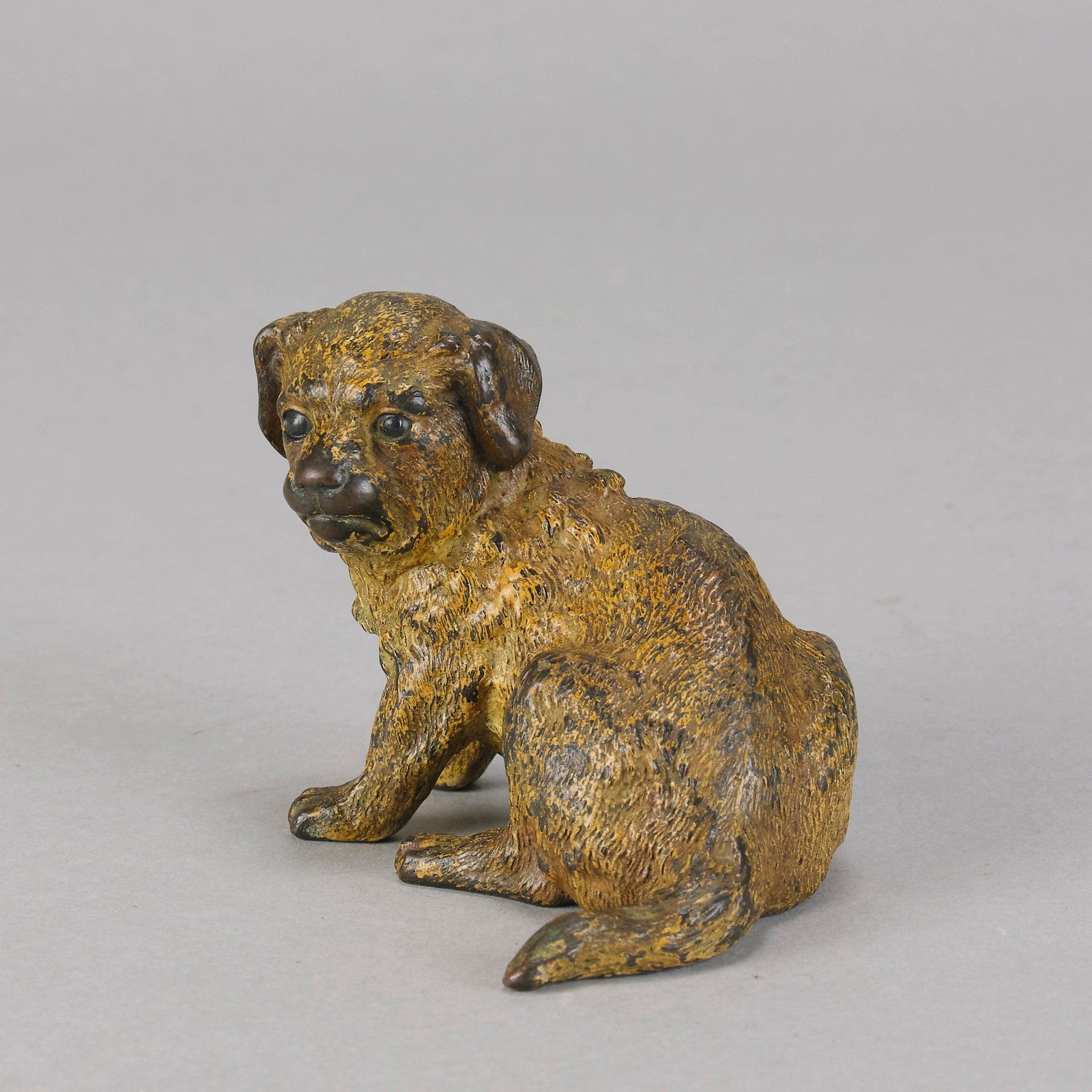 Vienna Bronze Puppy - Seated Puppy Bronze - Hickmet Fine Arts 