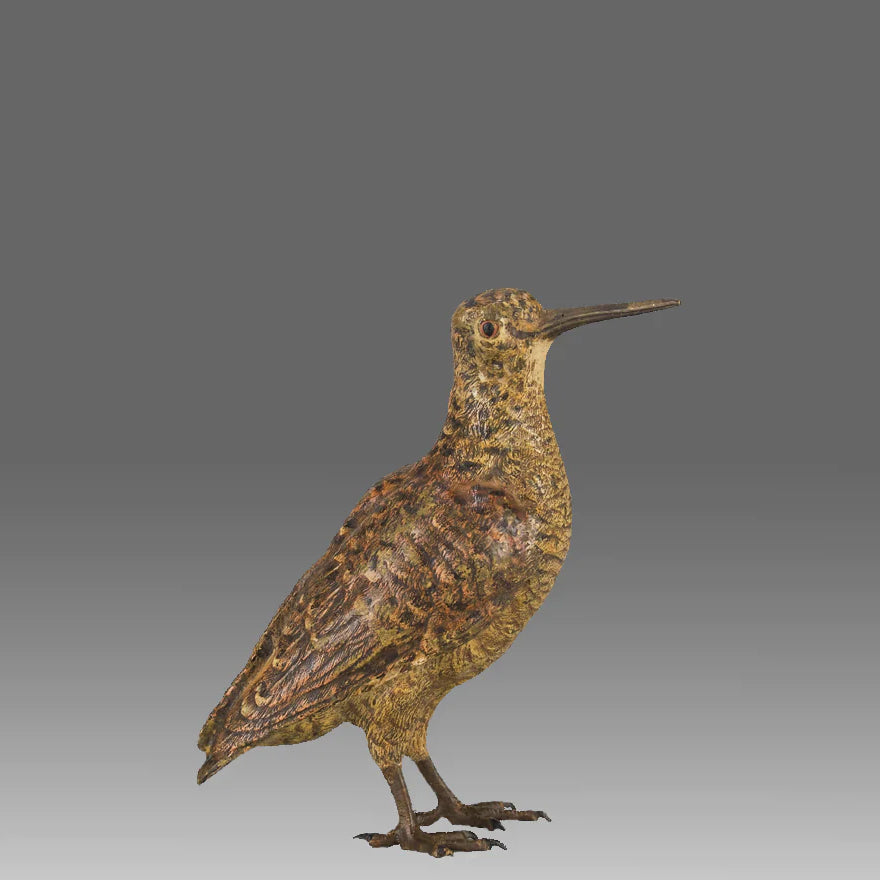 "Woodcock" by Franz Bergman