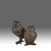 Vienna Bronze Chicks