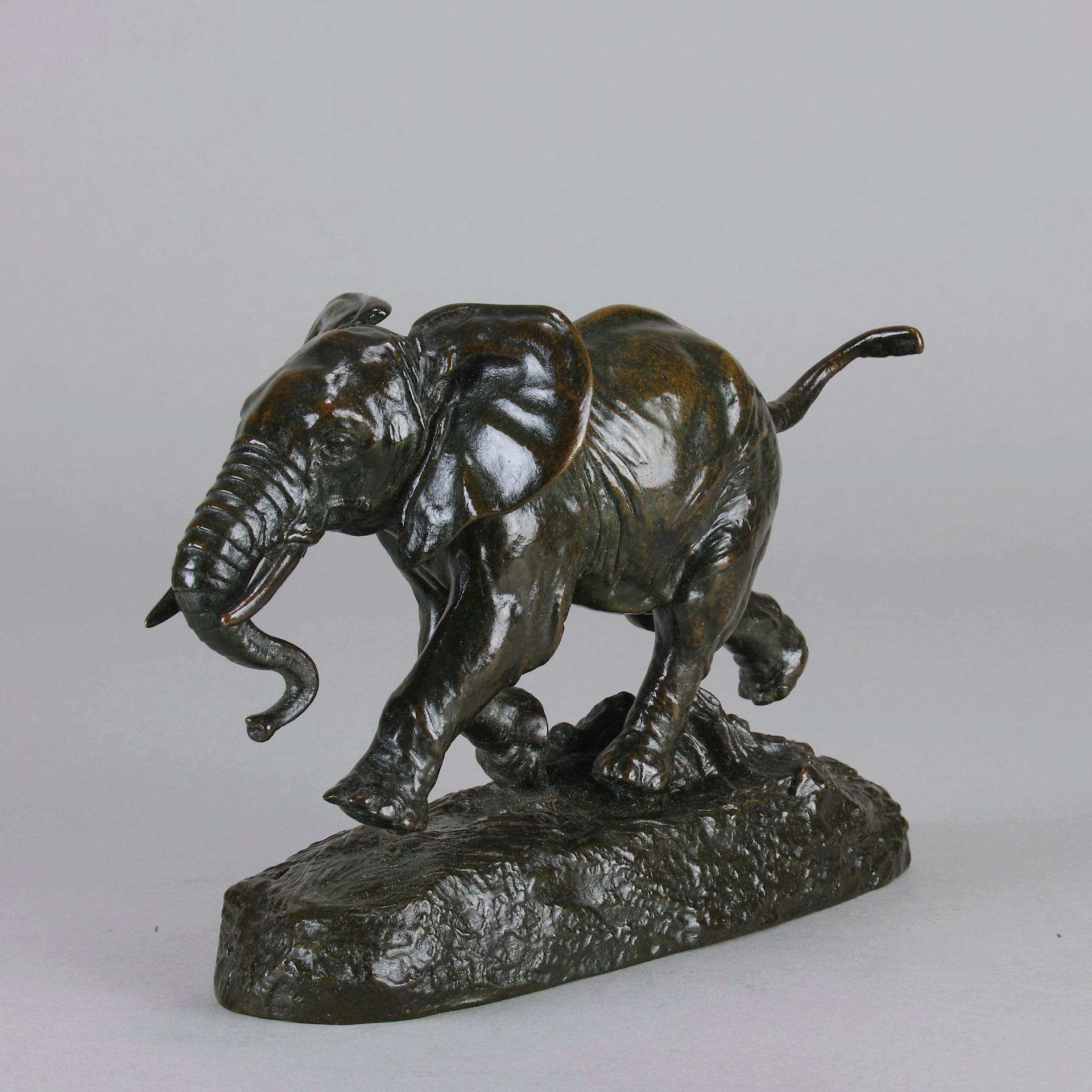 Barye Elephant du Senegal- Antoine L Barye Bronze - Hickmet Fine Arts