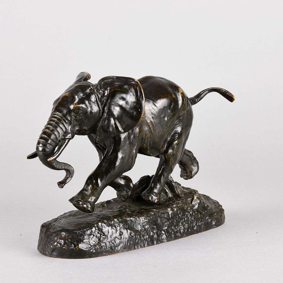 Barye Elephant du Senegal- Animalier Bronze  - Hickmet Fine Arts