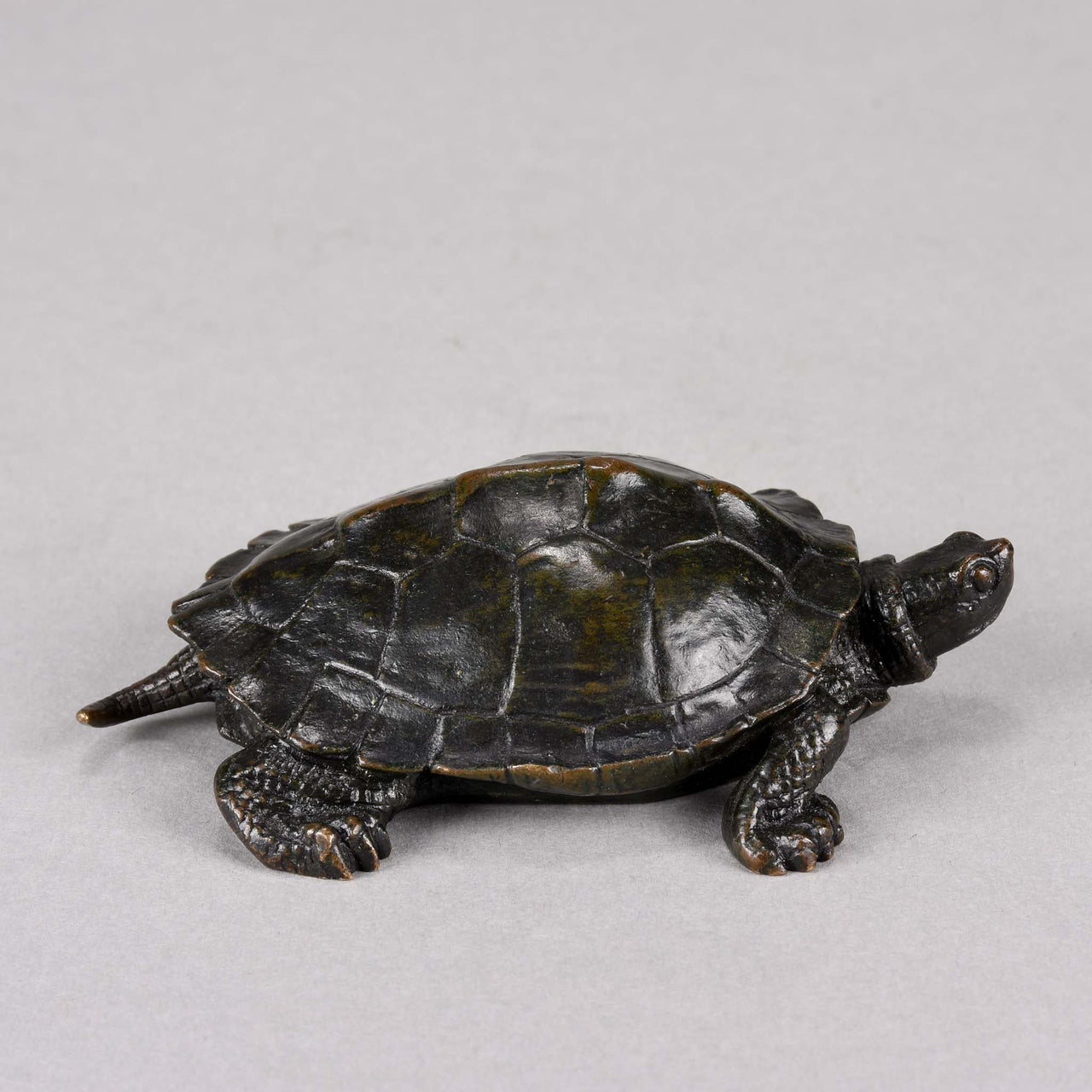 Barye Bronze Tortue - Animalier Bronze Tortoise - Hickmet Fine Arts 
