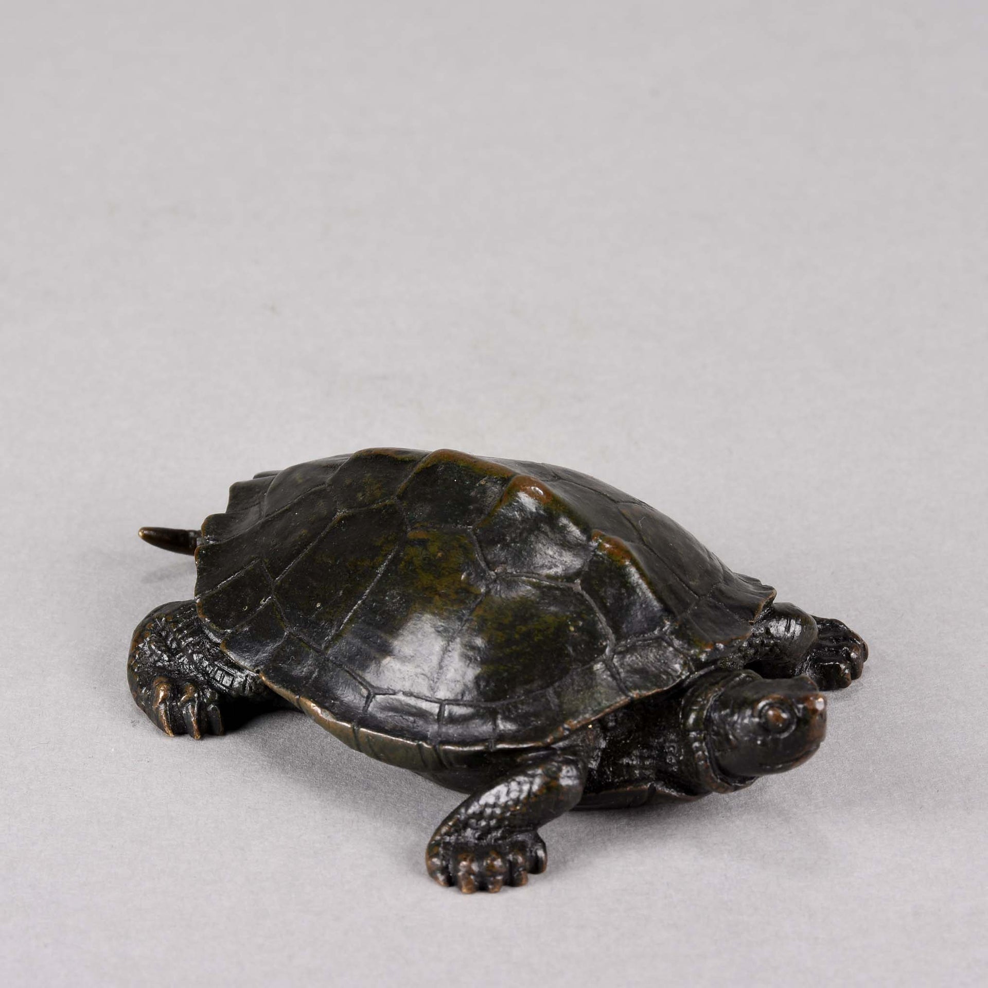 Barye Bronze Tortue - Animalier Bronze Tortoise - Hickmet Fine Arts 