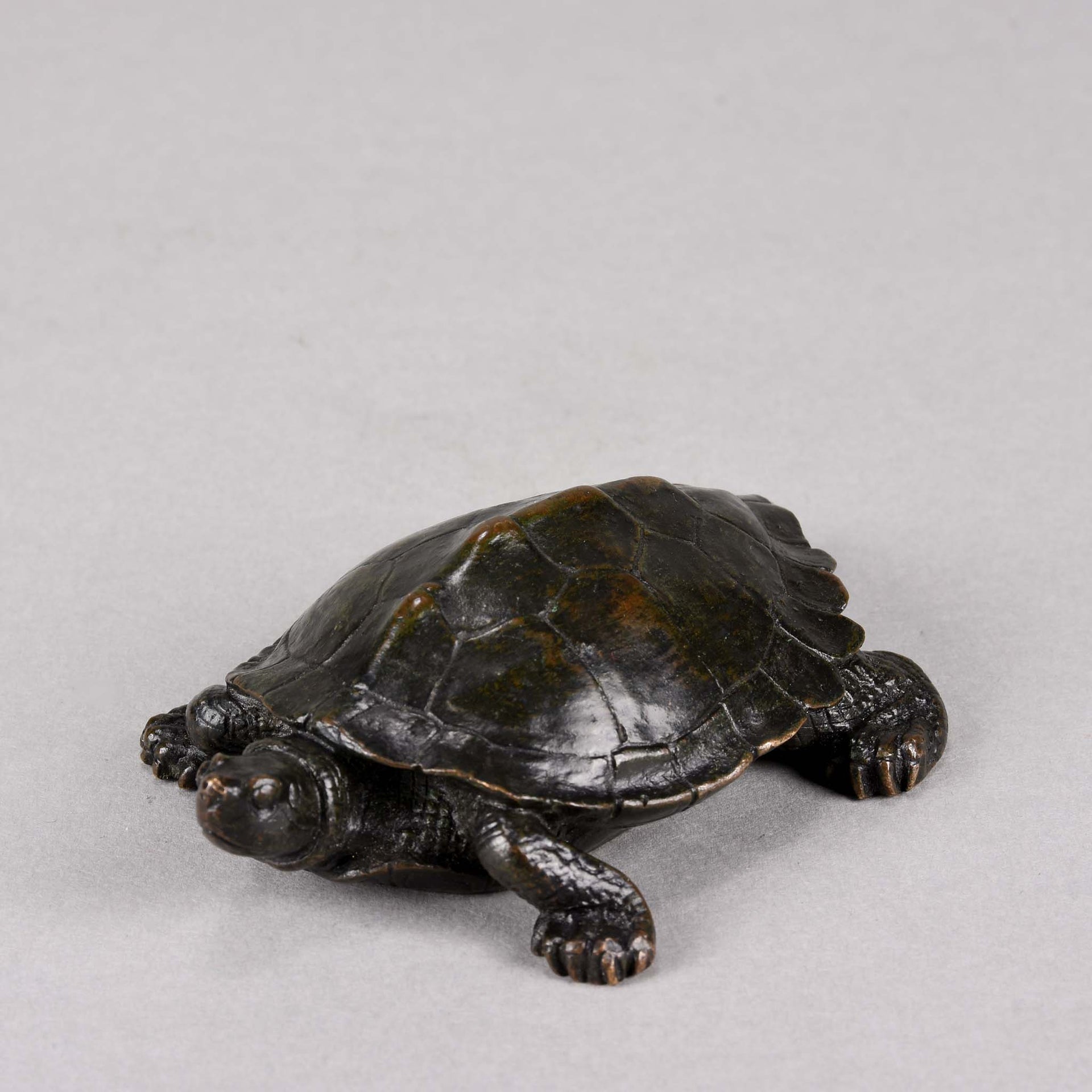 Barye Bronze Tortue - Animalier Bronze Tortoise - Hickmet Fine Arts 