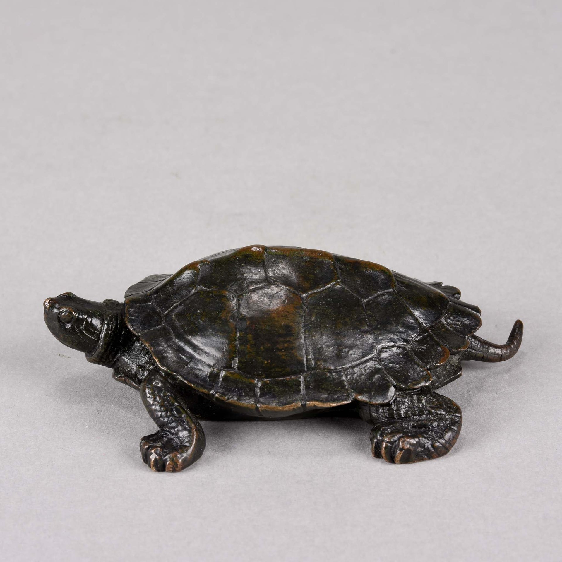 Barye Bronze Tortue - Animalier Bronze Tortoise - Hickmet Fine Arts 