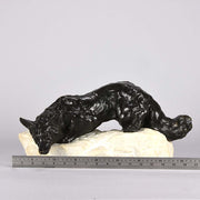 ‘Alert Fox’ by Bartelier