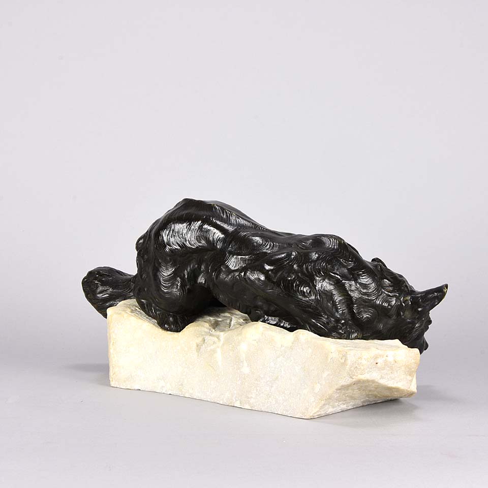 ‘Alert Fox’ by Bartelier