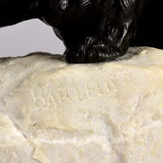 ‘Alert Fox’ by Bartelier