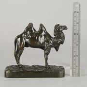 Alfred Barye Camel Animalier Bronze
