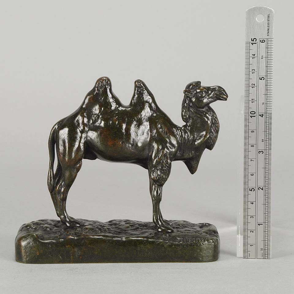 Alfred Barye Camel Animalier Bronze