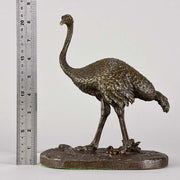 Barye Bronze - Standing Ostrich  - Hickmet Fine Arts