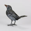 "Blackbird" by Franz Bergman