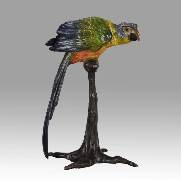 "Parrot on Branch" by Franz Bergman