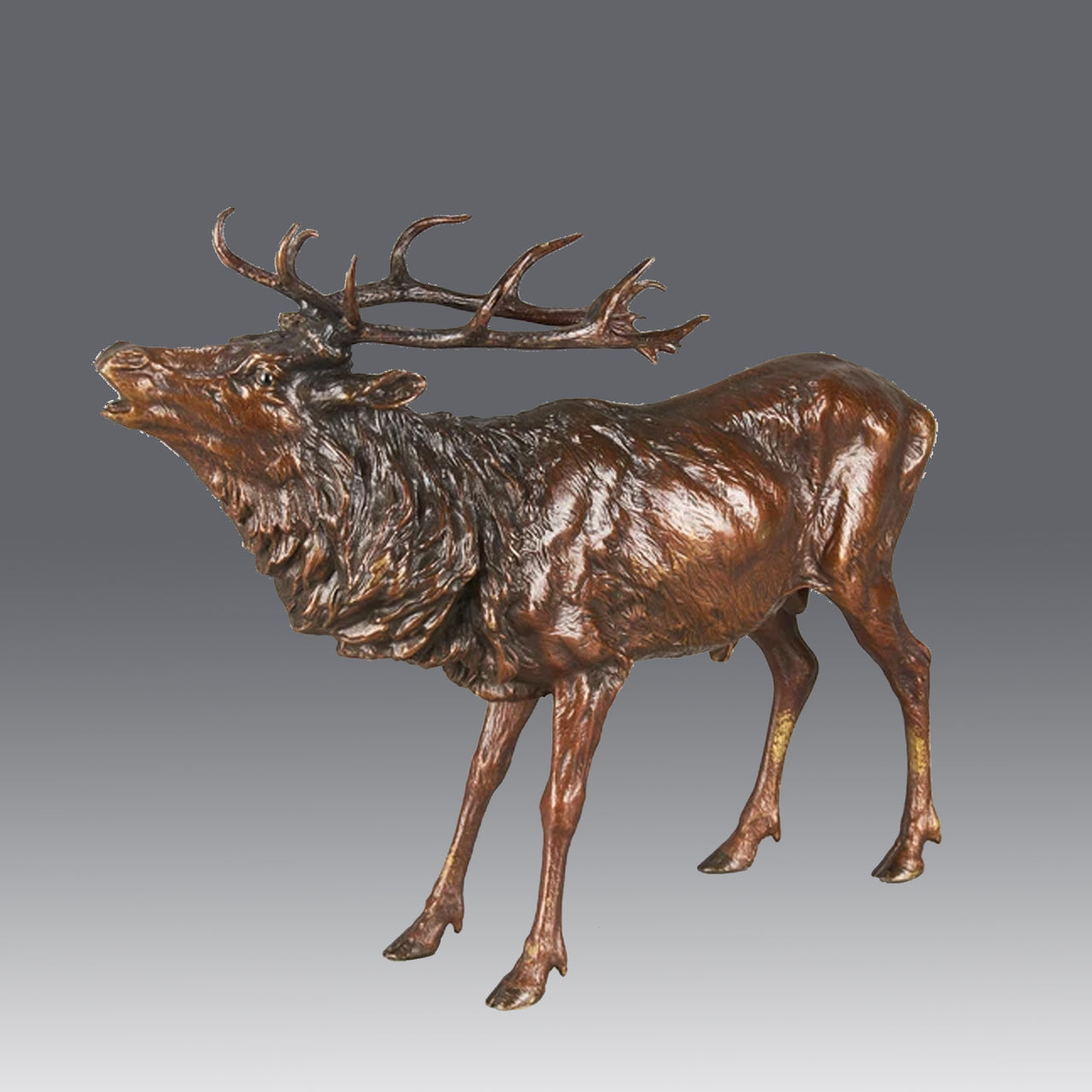 "Roaring Stag" by Franz Bergman