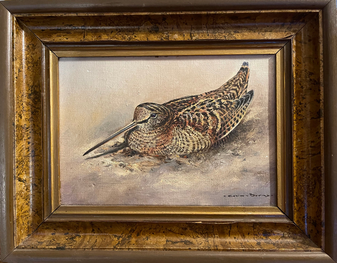 "Woodcock" by Colin Burns