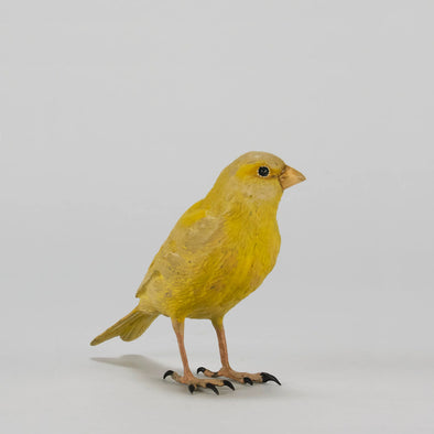 "Canary" by Franz Bergman