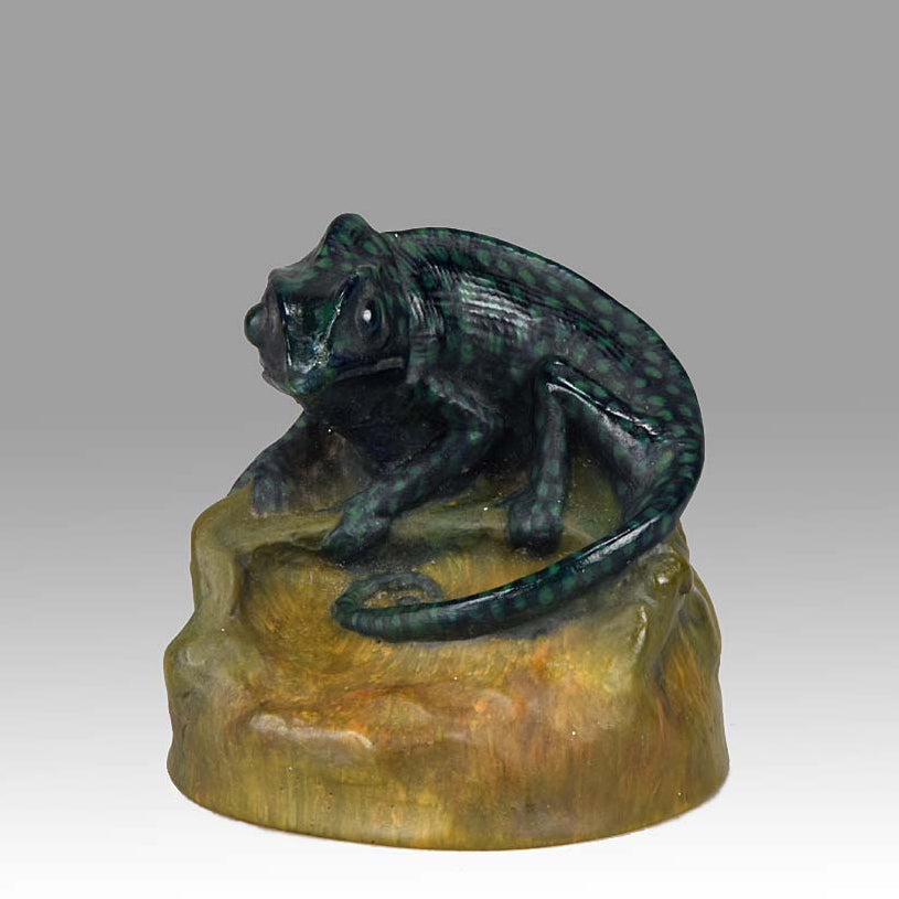 Chameleon by Amalric Walter