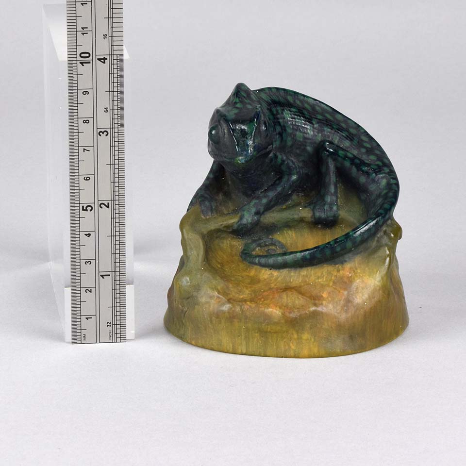 Chameleon by Amalric Walter