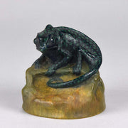 Chameleon by Amalric Walter