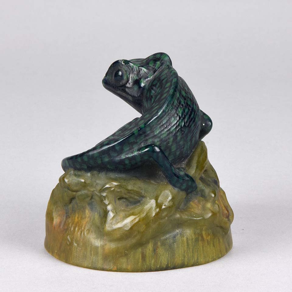 Chameleon by Amalric Walter