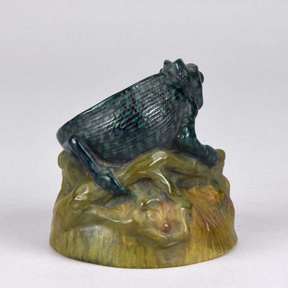 Chameleon by Amalric Walter