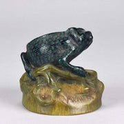 Chameleon by Amalric Walter