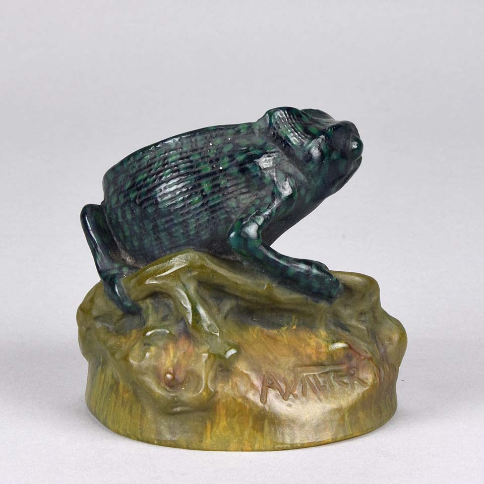 Chameleon by Amalric Walter