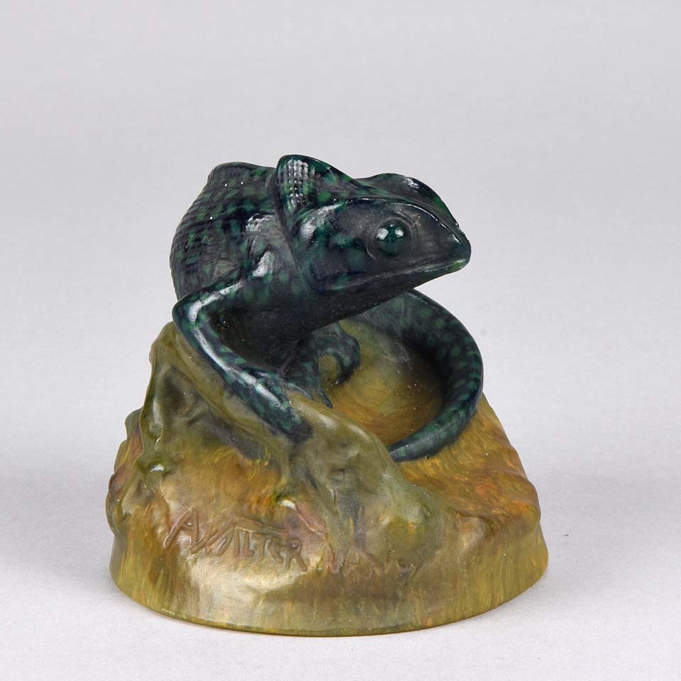 Chameleon by Amalric Walter