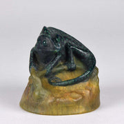 Chameleon by Amalric Walter