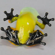 Salsa An eyecatching limited edition bronze sculpture of a charming frog by Tim Cotterill in a seated position with its head raised