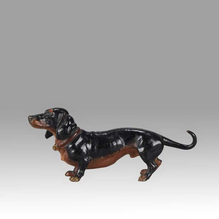 Franz Bergman Standing Dachshund