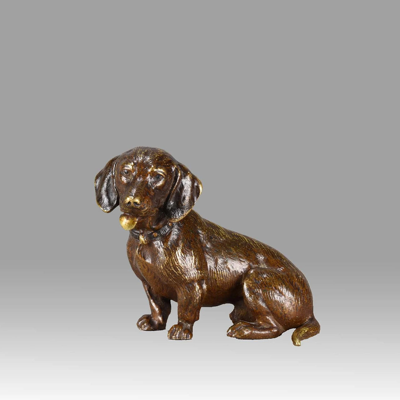Vienna Bronze "Seated Dachshund"