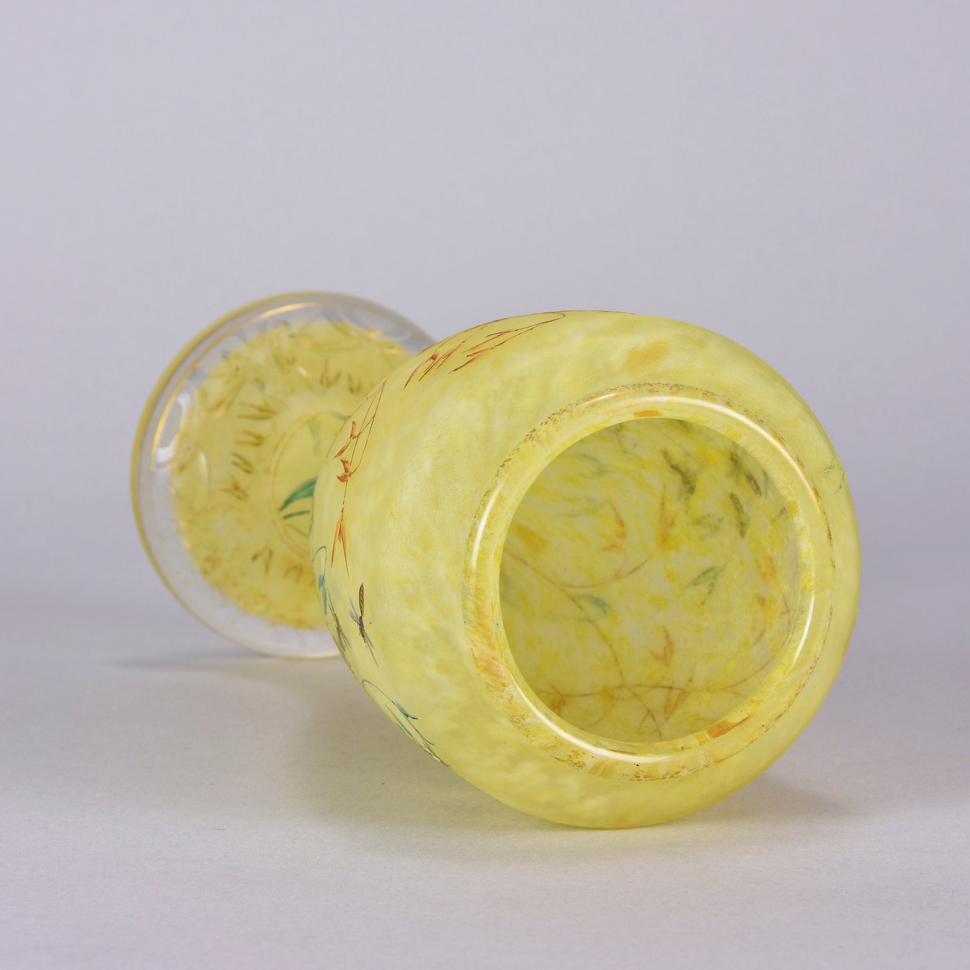 Bees and Flowers Vase by Daum Frères a late 19th Century French cameo glass vase etched and enamelled with a hive of bees pollinating flowers against a pale yellow field