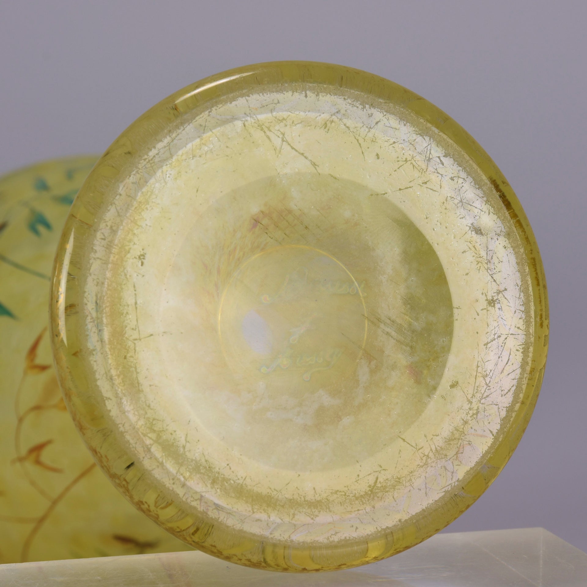 Bees and Flowers Vase by Daum Frères a late 19th Century French cameo glass vase etched and enamelled with a hive of bees pollinating flowers against a pale yellow field