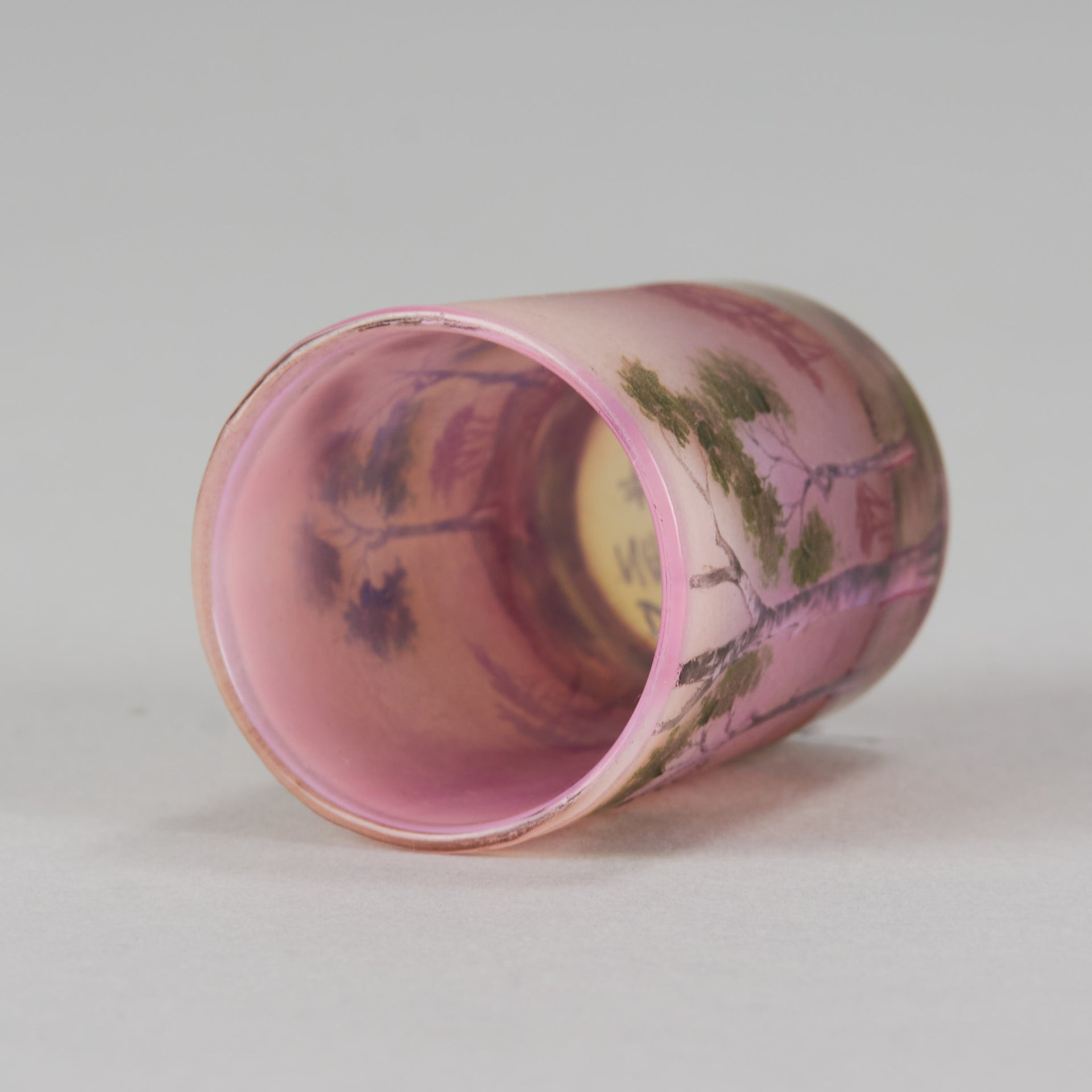 Daum Vase - Silver Birches Cameo Vase - Hickmet Fine Arts