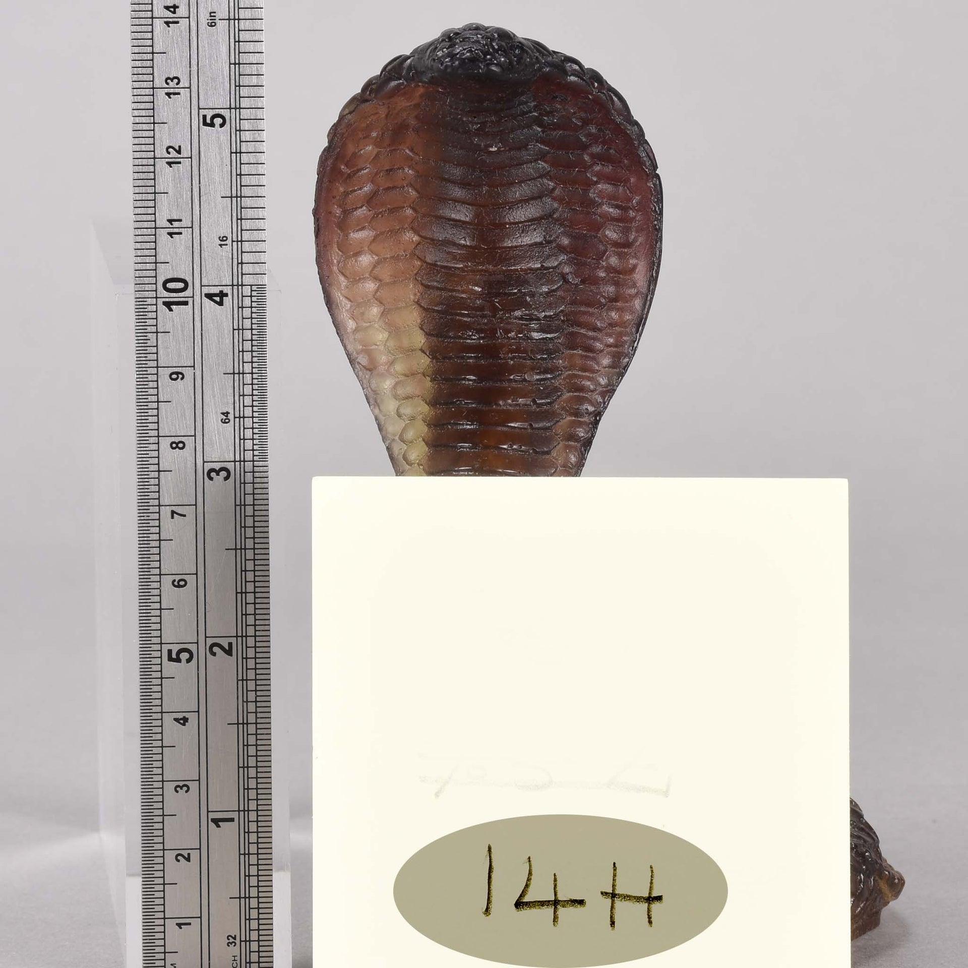 Daum Cobra - Pate-de-Verre Glass - Hickmet Fine Arts