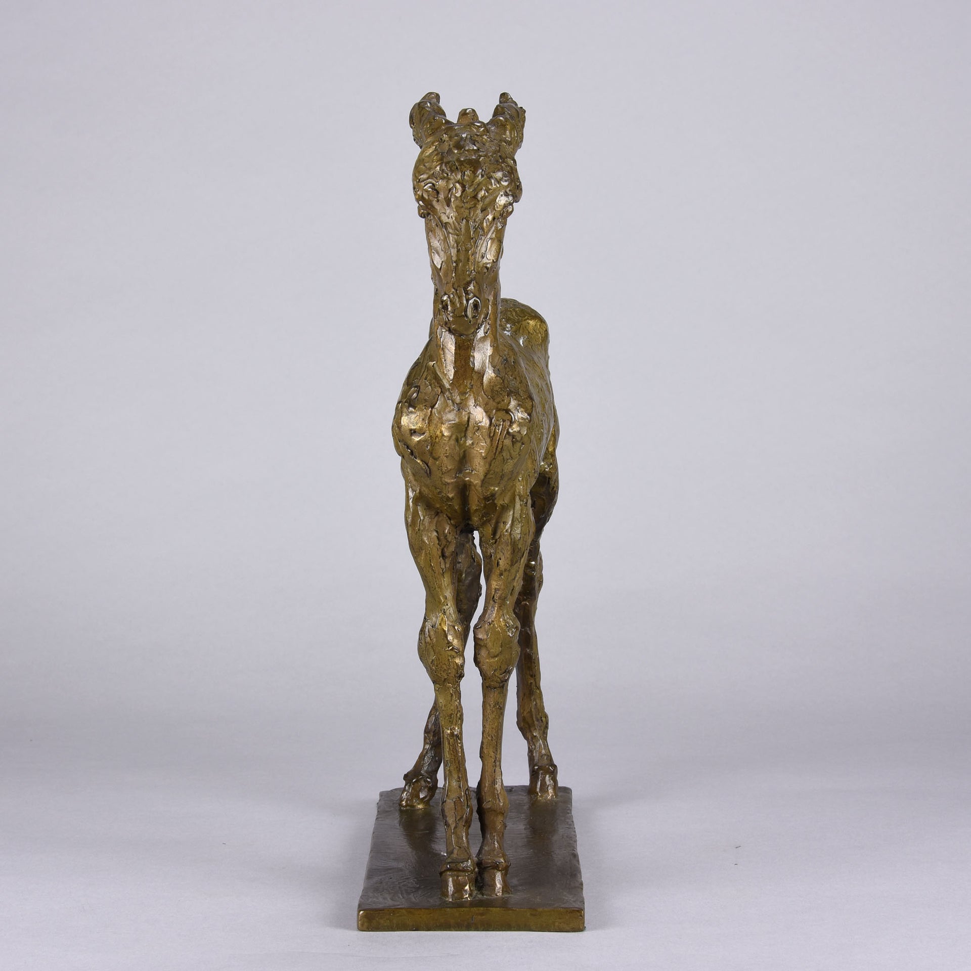 Donkey Foal - Elizabeth Weistrop Bronze - Hickmet Fine Arts 