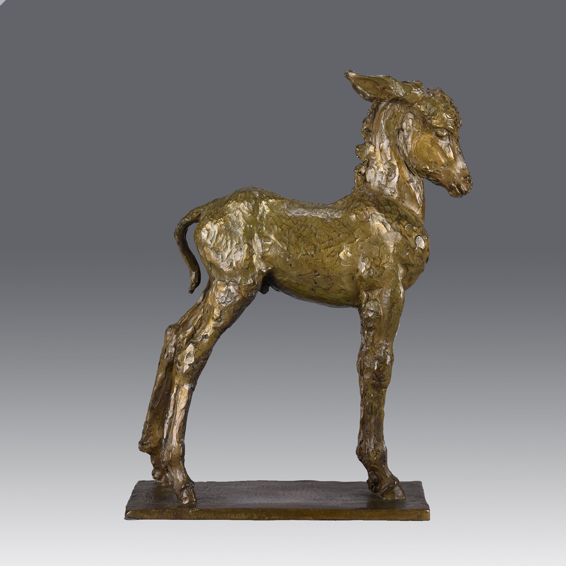 Donkey Foal - Elizabeth Weistrop Bronze - Hickmet Fine Arts 