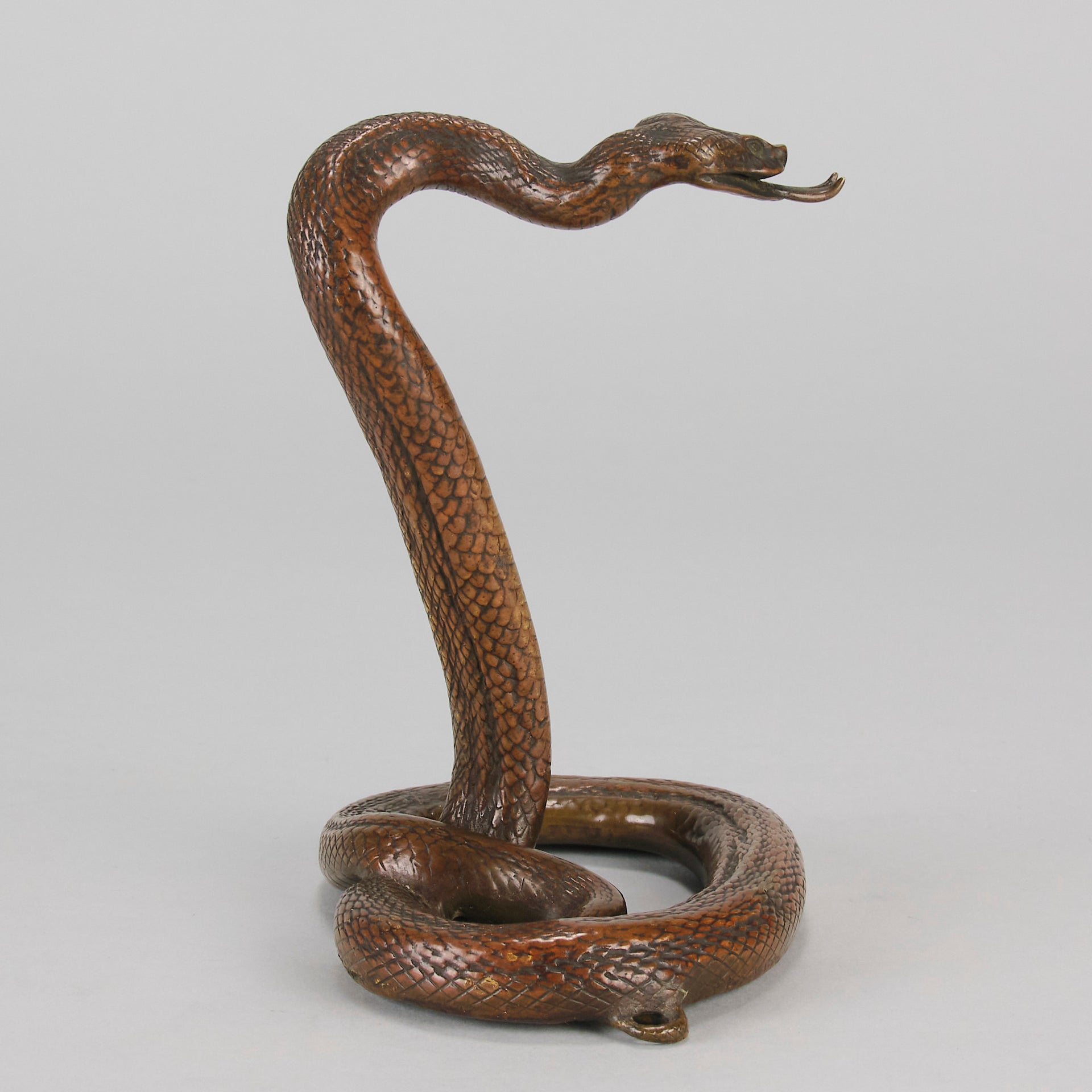 Rearing Snake an early 20th Century Art Deco bronze study of a rearing snake, its tail curled and head raised in an alert position by Edgar Brandt 